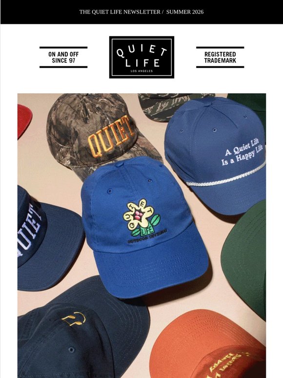 New Arrivals Are Here