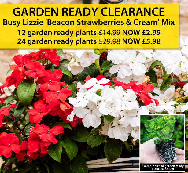 Garden Ready Clearance