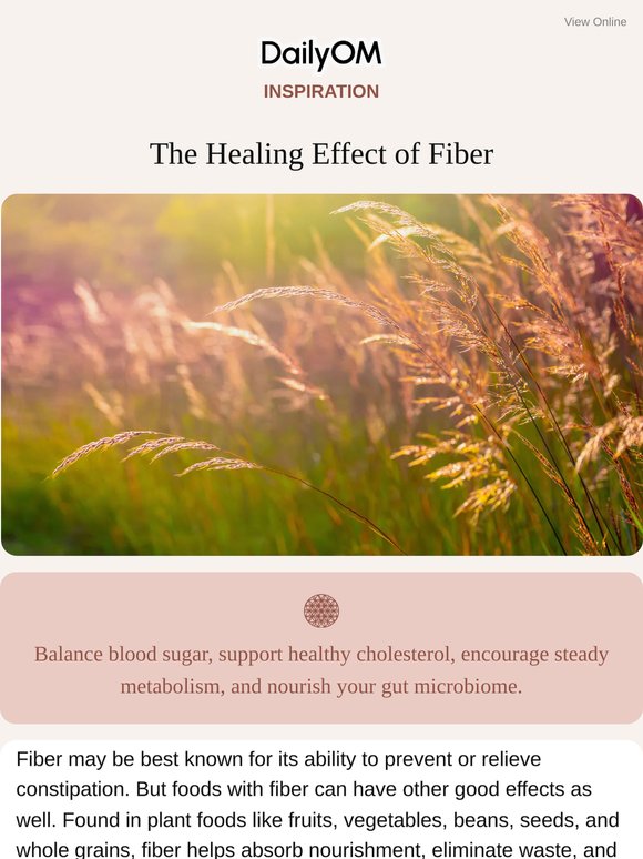 The Healing Effect of Fiber