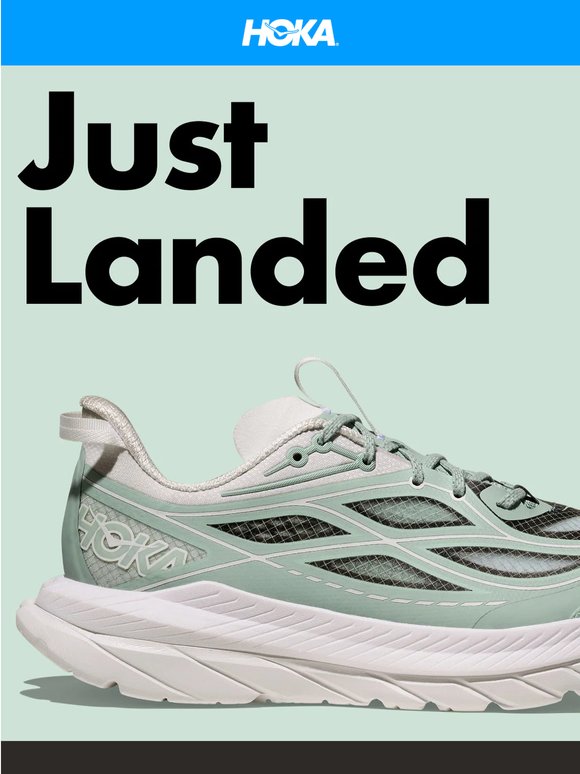 New arrivals are here