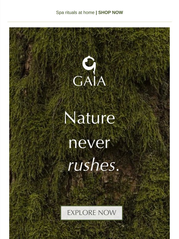 Nature never rushes