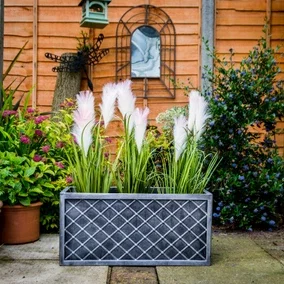 Lazio Pewter Trough