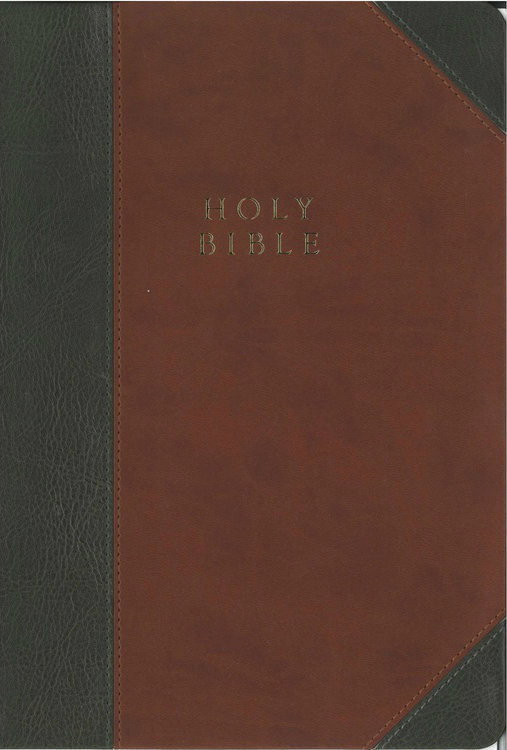 Image of The Reformation Heritage KJV Study Bible (Brown/Gray)