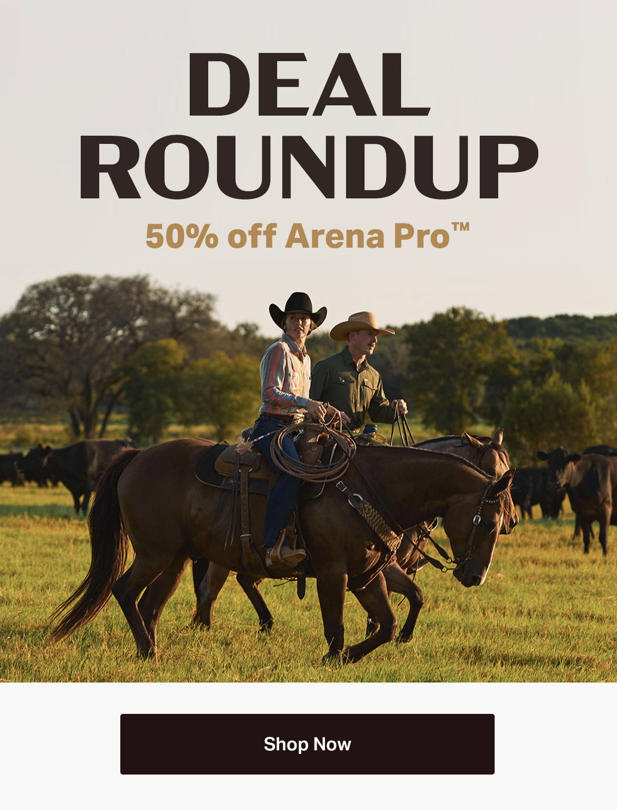 50% off Arena Pro