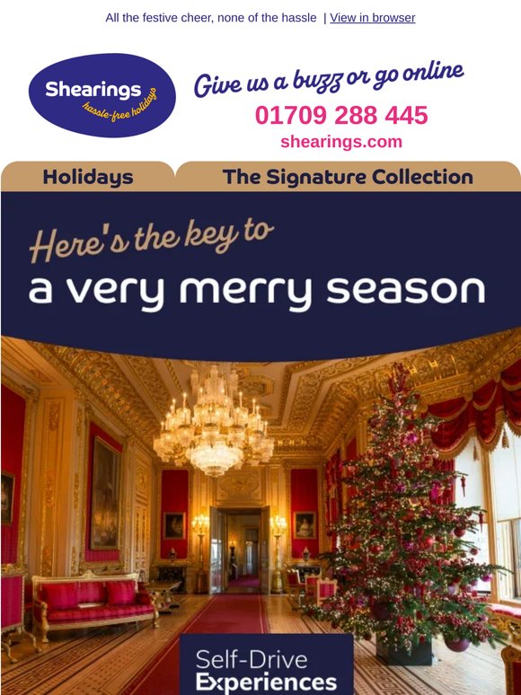 Steer towards a sleigh-load of fun🎄