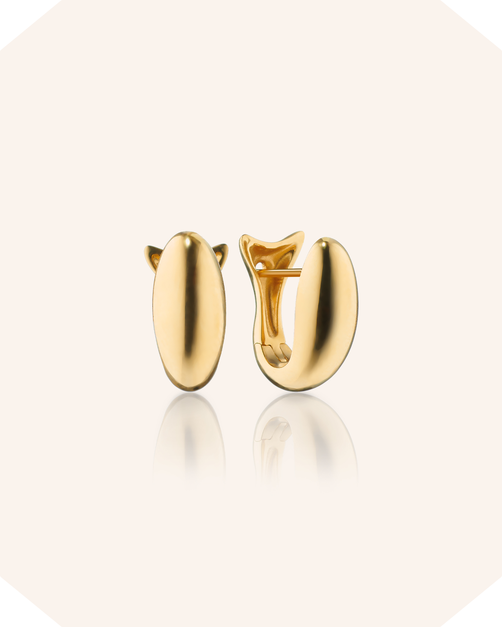 18K Gold Midi "Perseverance" Fish Huggie Earrings