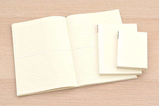 MD Notebooks