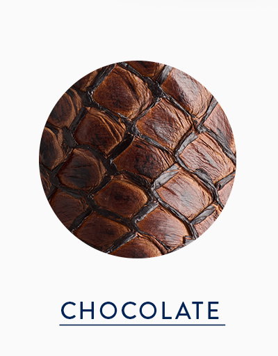 Narcisso in Chocolate
