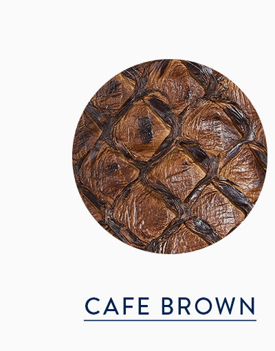 Narcisso in Cafe Brown