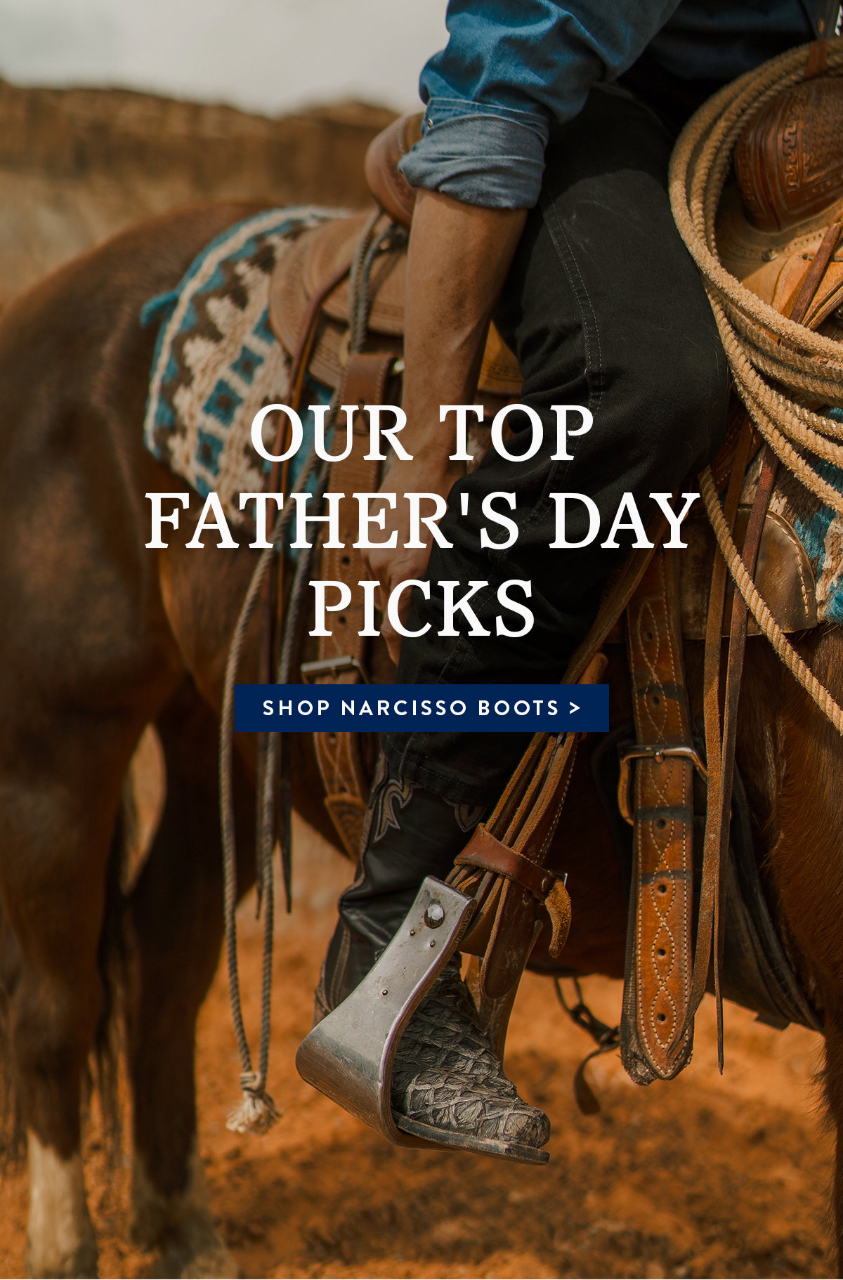 Shop Father's Day Gifts
