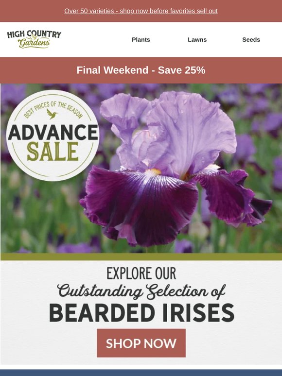 Final Weekend: Save 25% On Bearded Iris