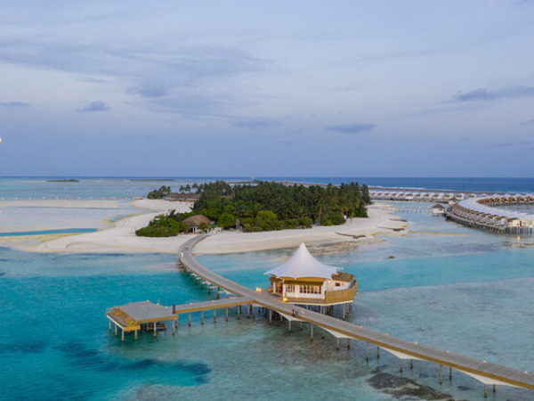 Cinnamon Hakuraa Huraa