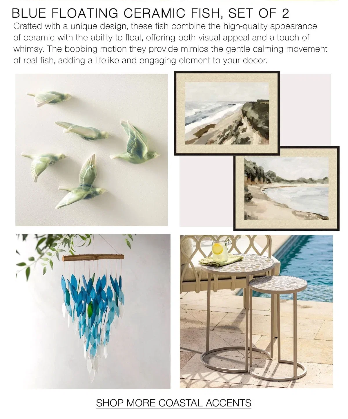VTe-20260605-Coastal_02