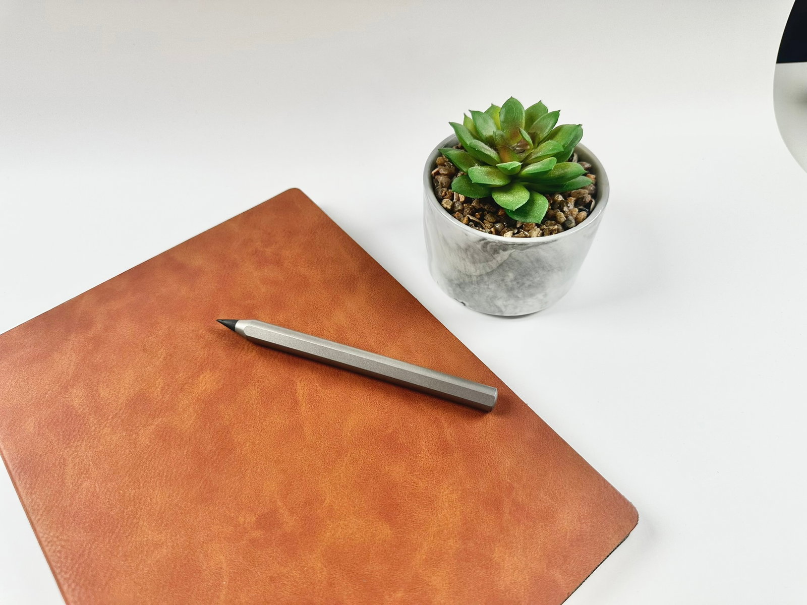 Infinity Pencil with leather notebook and plant