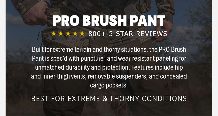 PRO Brush Pant