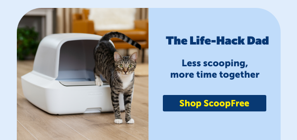 For the Life-Hack Dad: Shop ScoopFree
