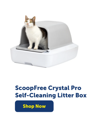 Shop ScoopFree Crystal Pro Self-Cleaning Litter Box