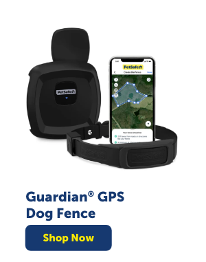 Shop Guardian GPS Dog Fence