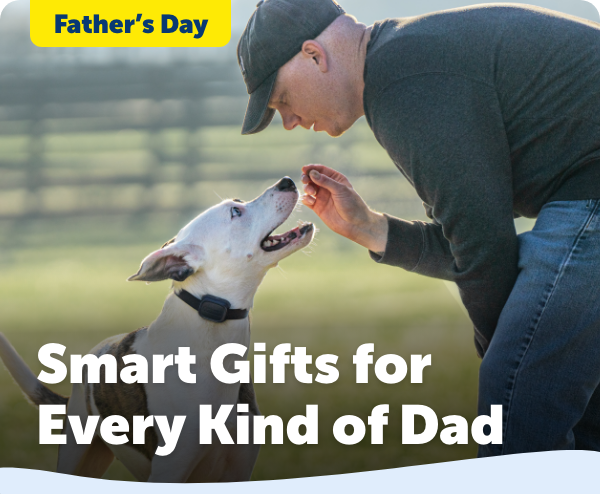 Smart Gifts for Every Kind of Dad this Father's Day