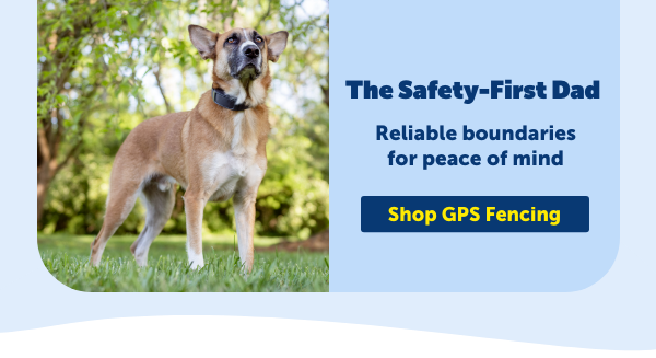 For the Safety-First Dad: Shop GPS Fencing