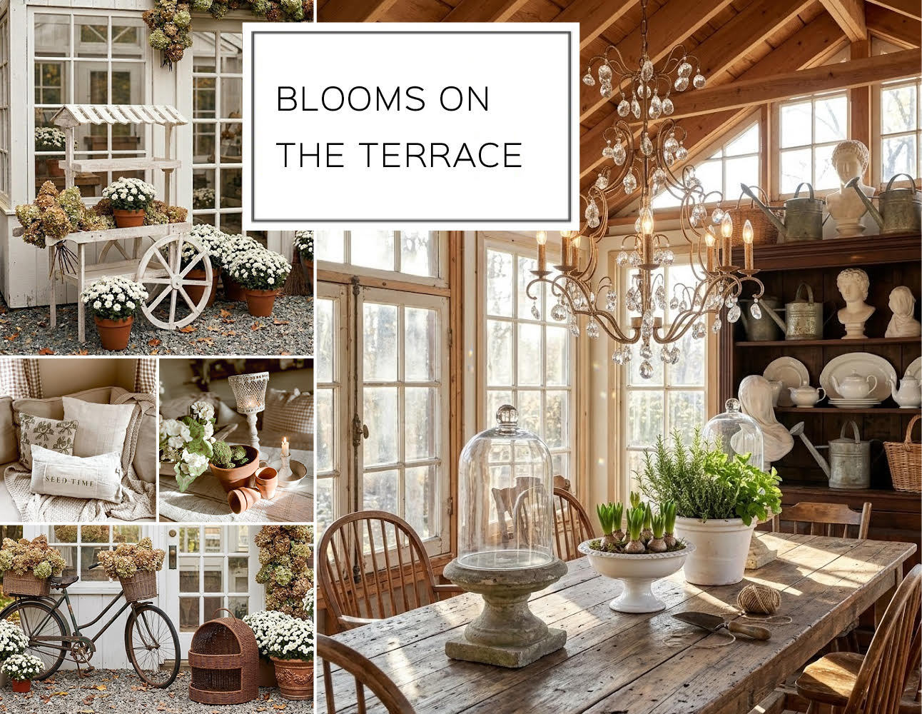 BLOOMS ON THE TERRACE