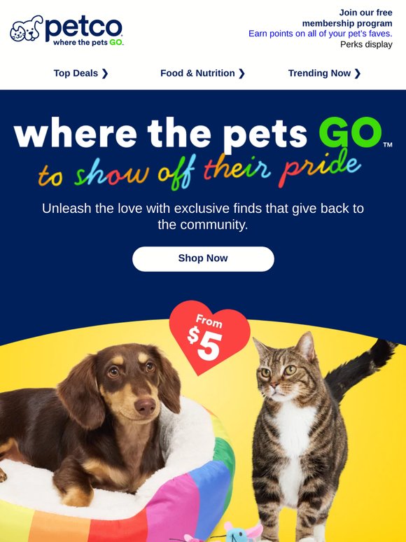 🌈🐶 Show off pride with exclusives from $5 >>>