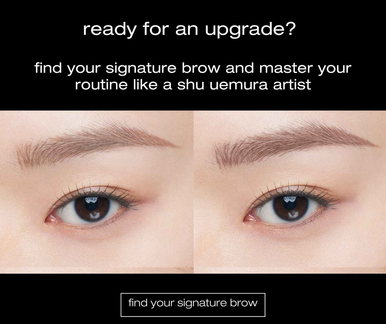 find your signature brow