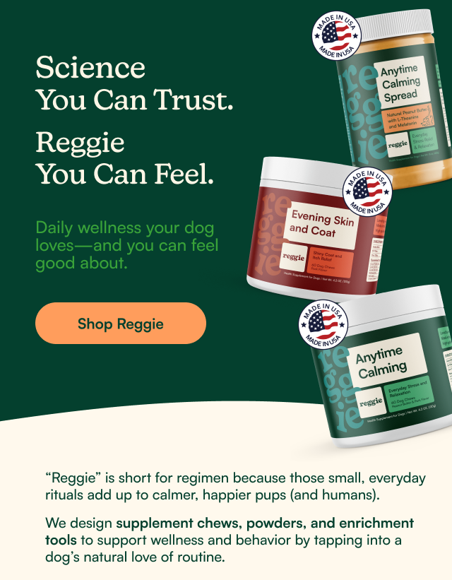 Daily wellness your dog loves