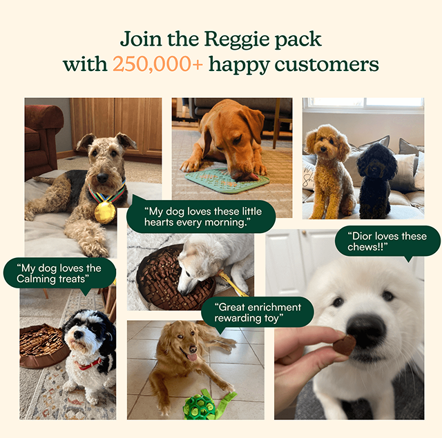 Join the pack with other happy customers