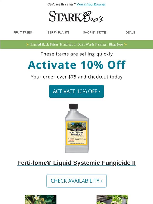 Open now for an exclusive offer!