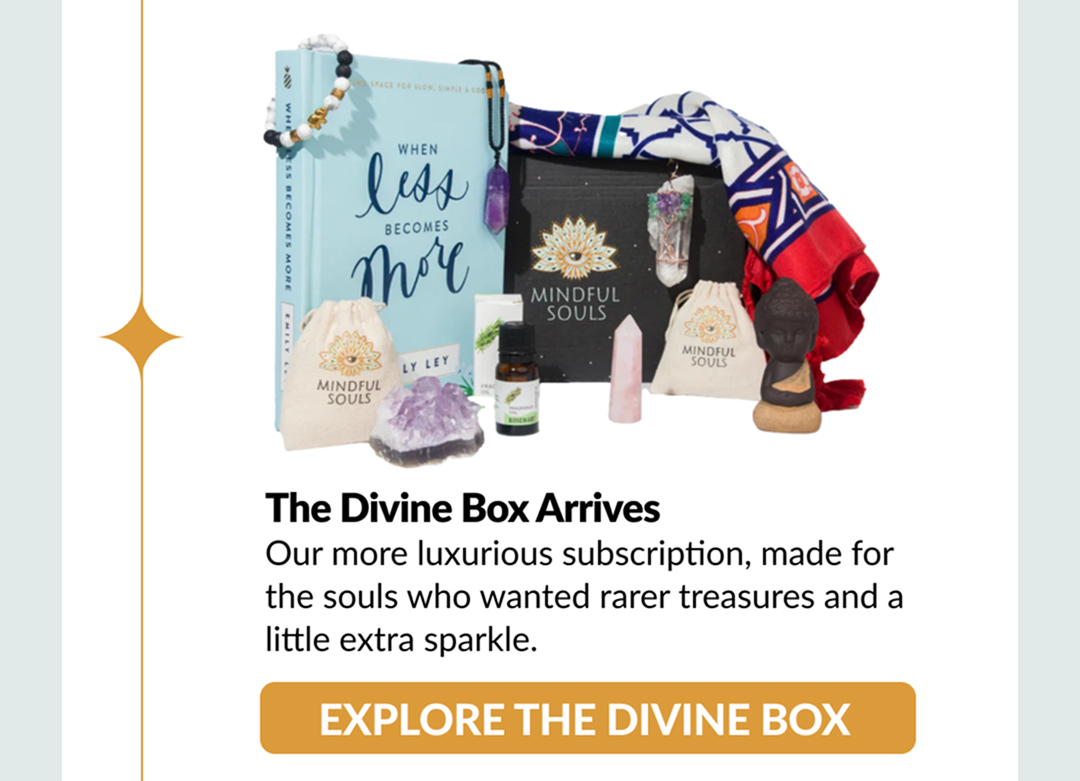 EXPLORE THE DIVINE BOX