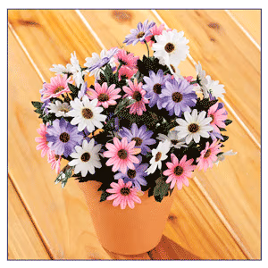 Artificial Daisy Bush by OakRidge™