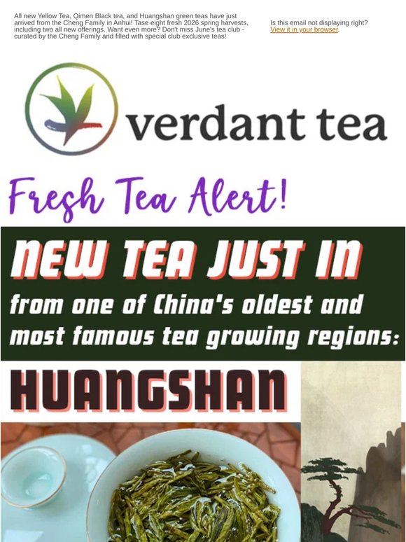 💚 All New Qimen Green + Yellow Tea and more! 🎉