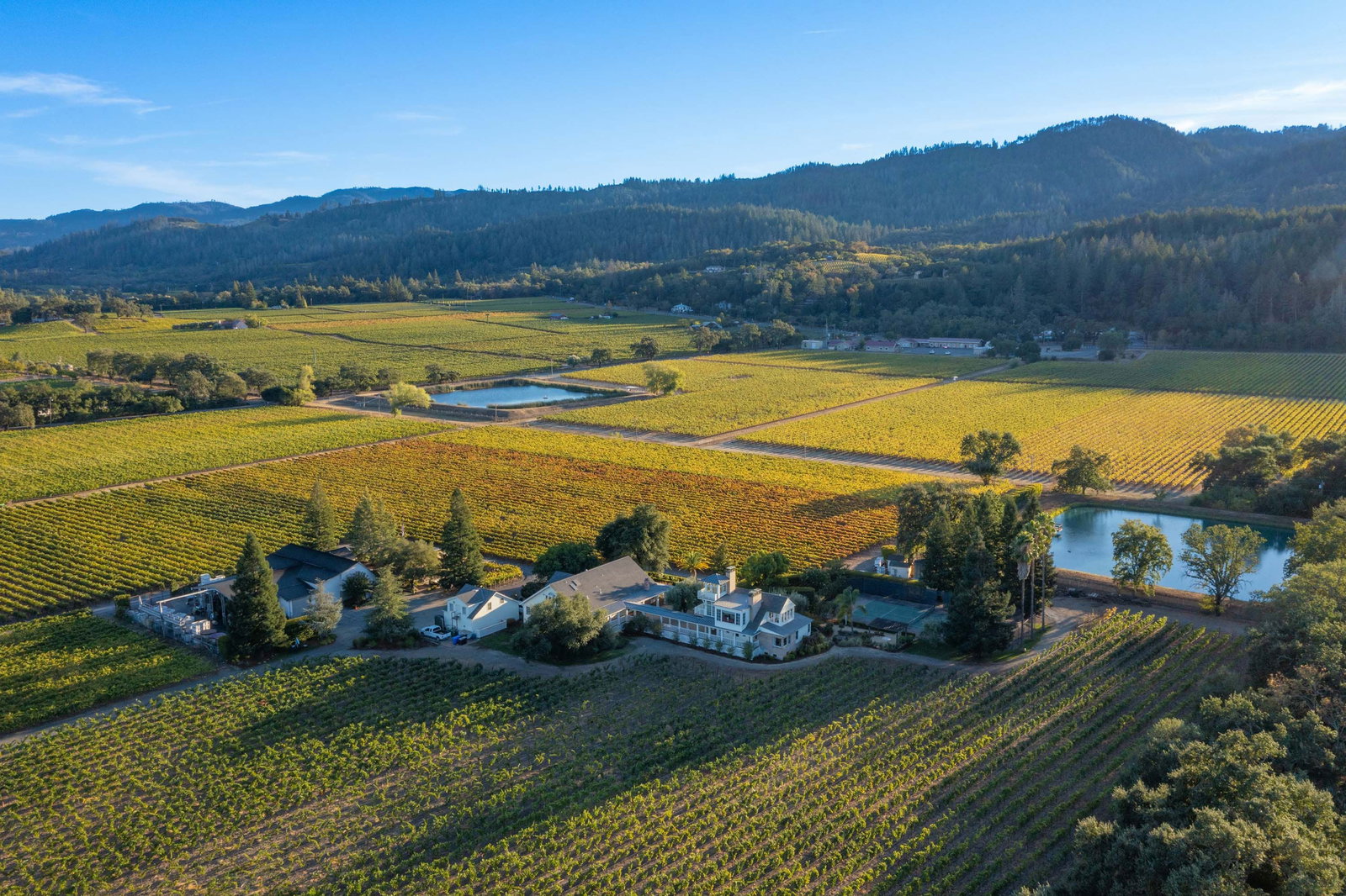 Benessere Vineyards: Rare, 42-acre valley floor vineyard set along the Napa River