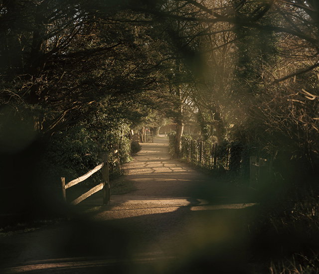 Sony Photo Walk - IF 2026
