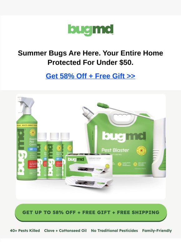 ☀️ June deal: 58% off + free gift inside