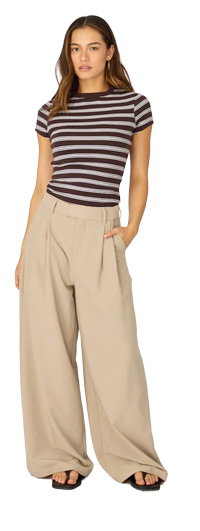 Brown Stripe Stripe Tshirt Short Sleeve