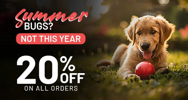 20% Off summer Offer