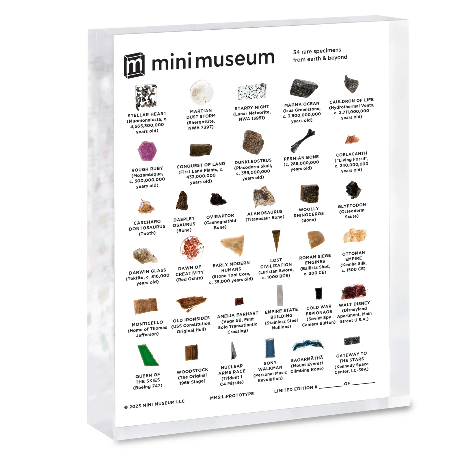 Image of Mini Museum - Fifth Edition (LARGE - 34 Specimens)