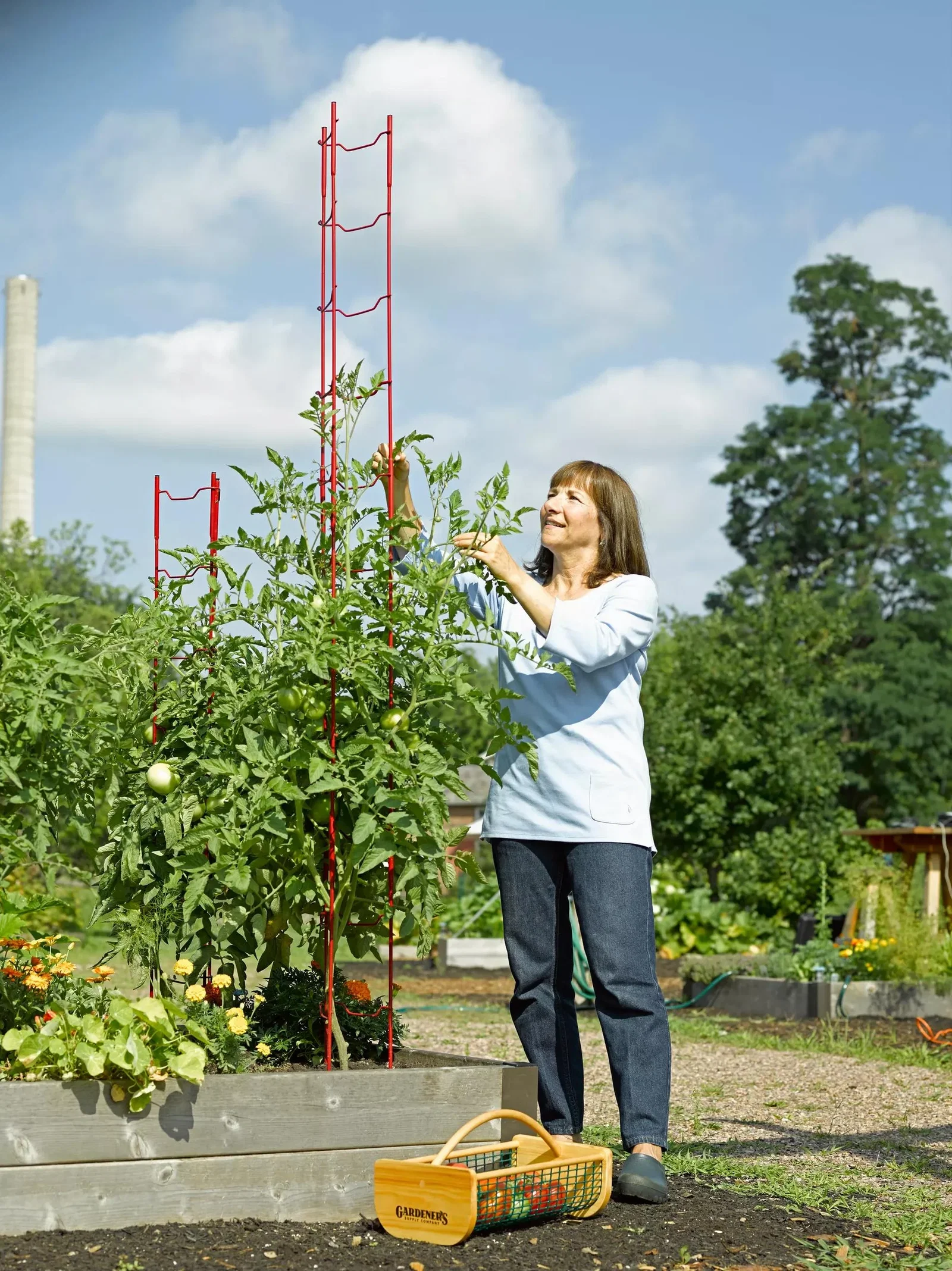Image of Stacking Tomato Ladders, Set of 6