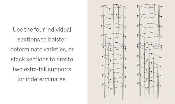 Use the four individual sections to bolster determinate varieties, or stack sections to create two extra-tall supports for indeterminates. 