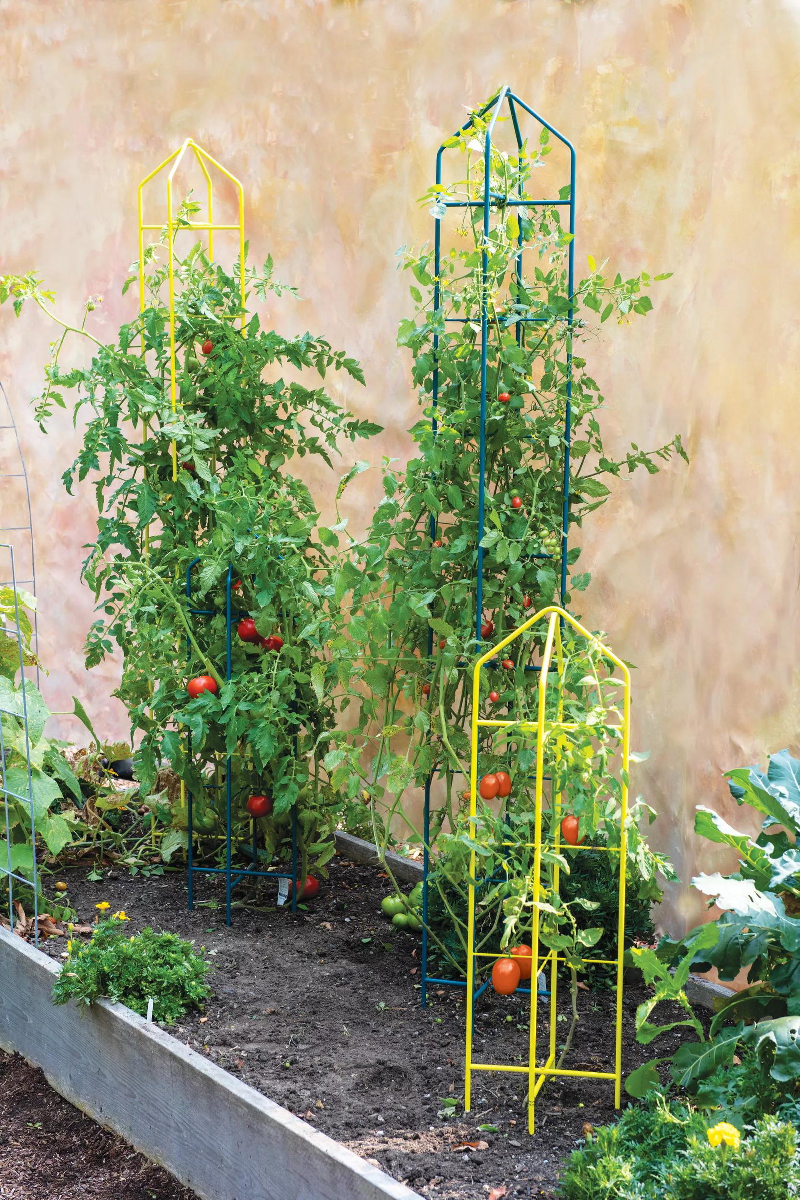 Image of Zenith™ Folding Garden Supports, Set of 2