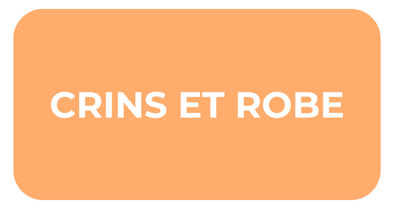 Crins et Robe Absorbine