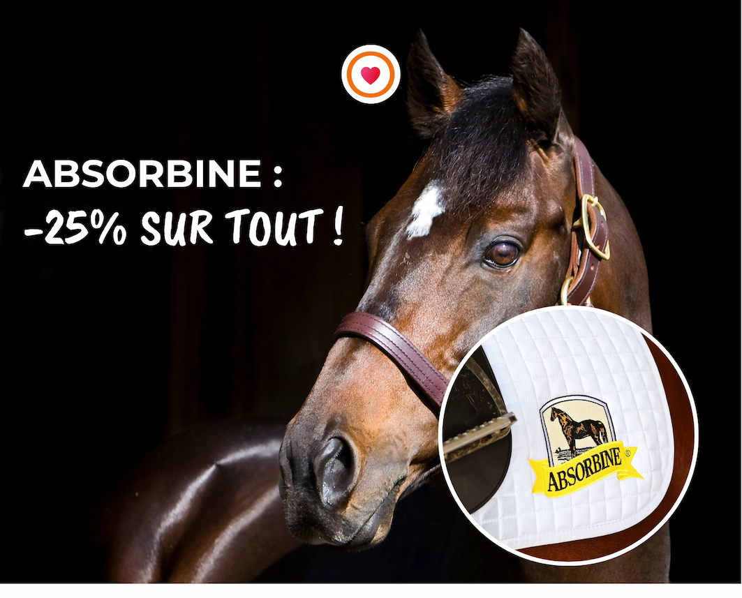 -25% Absorbine