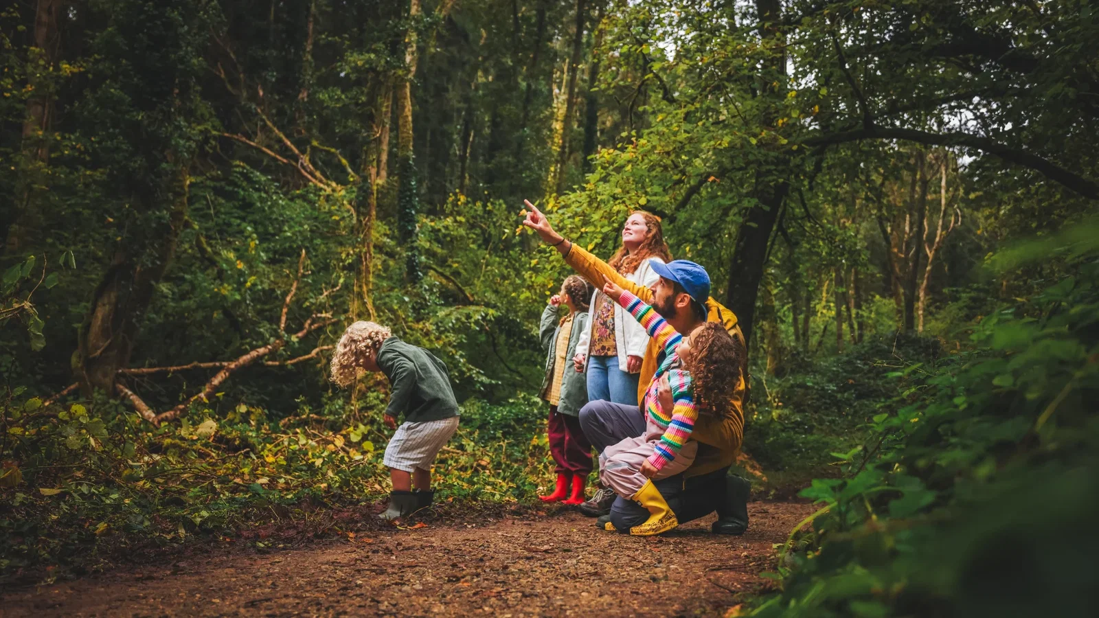 Family pointing and looking at something in Bluestone's forest