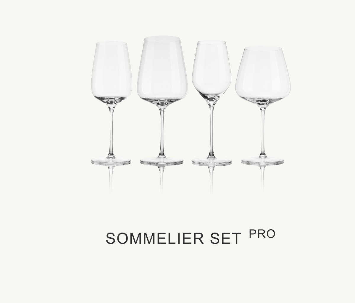 Sommelier Set Pro 