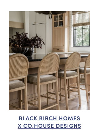 Black Birch Homes x Co.House Designs