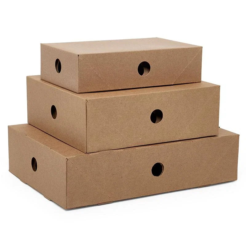 10.5 x 9.5 Two Piece Donut Boxes