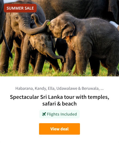 Spectacular Sri Lanka tour with temples, safari &amp; beach