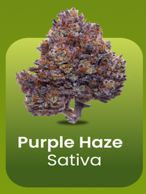 Purple Haze